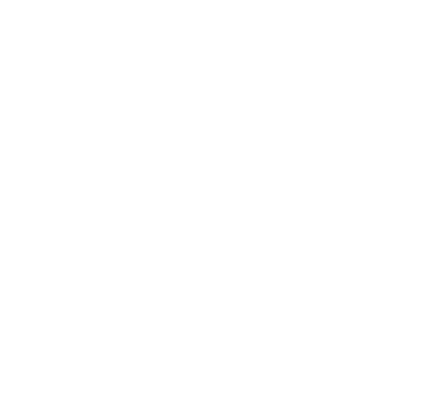 Lynx Sport Agency